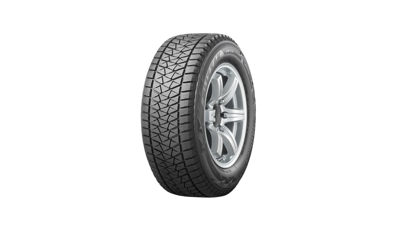 Bridgestone Blizzak DM-V2