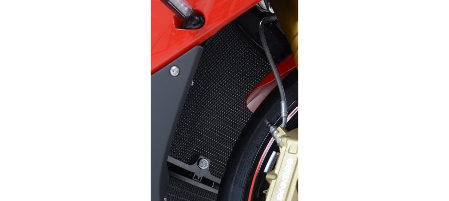 Решётка радиатора верхняя-основная R&G для мотоцикла BMW S1000RR