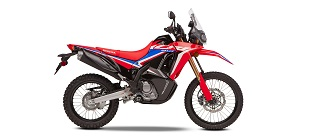 CRF300 Rally