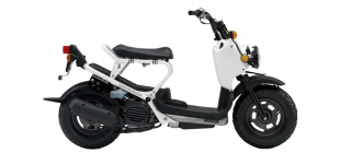 NPS50S Ruckus (AF58)