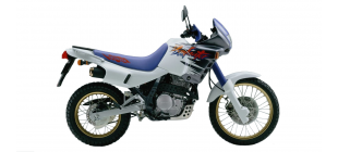 NX650 Dominator (RD02)