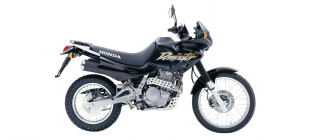 NX650 Dominator (RD08)