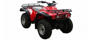 TRX300 FourTrax 4x4 (TE15)
