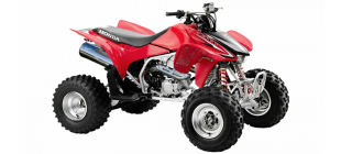 TRX450R Kick Start (TE32)