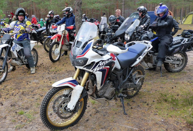 Африка в Пскове