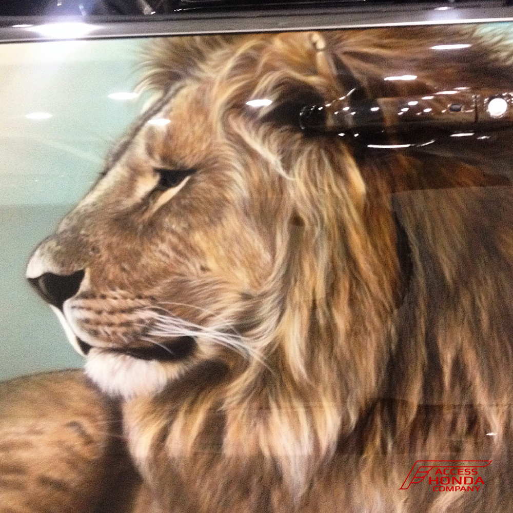 Аэрография Jeep Аэрография Jeep