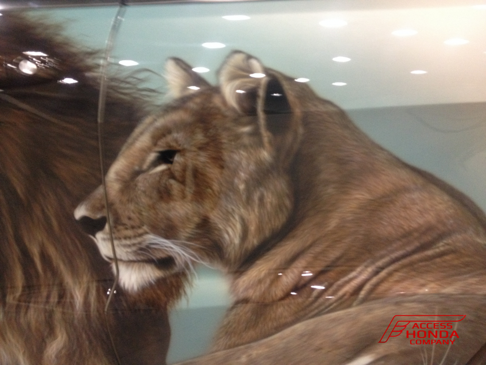 Аэрография Jeep Аэрография Jeep