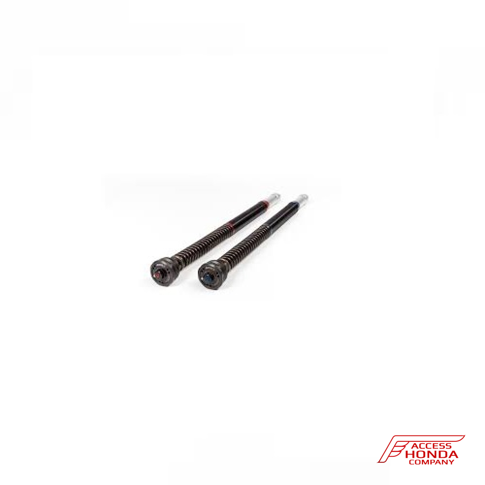 Картриджи передней вилки Mupo CSP30-R для Honda CBR1000RR (2017 – 2017) Картриджи передней вилки Mupo CSP30-R для Honda CBR1000RR (2017 – 2017)