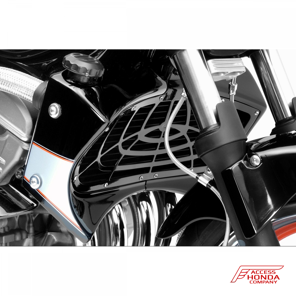 Защита радиатора DPM Race для Honda CB600 Hornet 2003-2006 Защита радиатора DPM Race для Honda CB600 Hornet 2003-2006