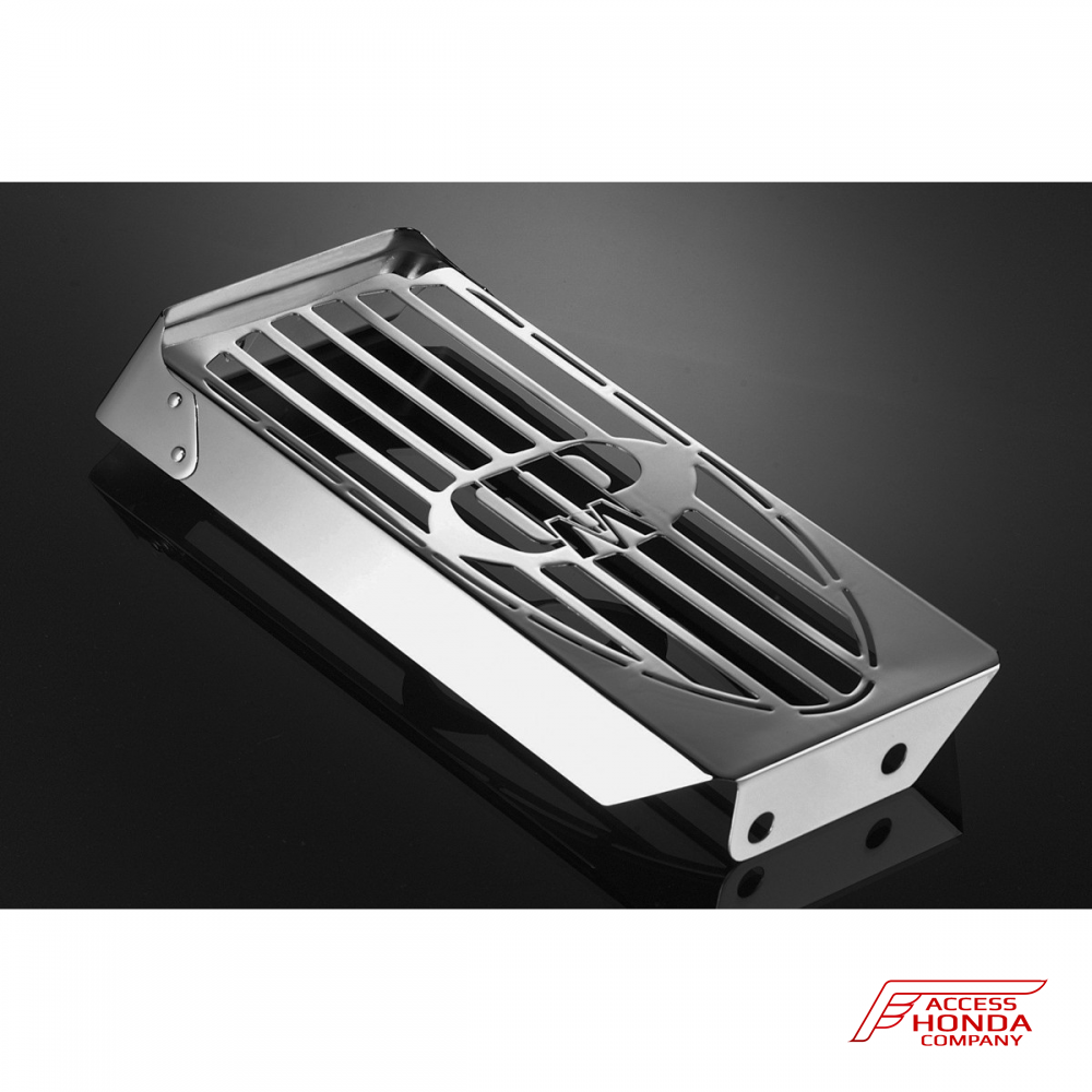 Защита радиатора DPM Race для Honda VT600 SHADOW Защита радиатора DPM Race для Honda VT600 SHADOW