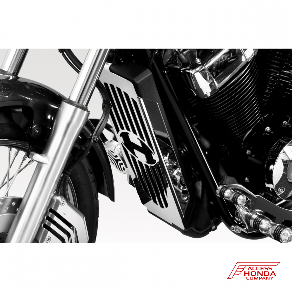 Защита радиатора DPM Race для Honda VT750 Защита радиатора DPM Race для Honda VT750
