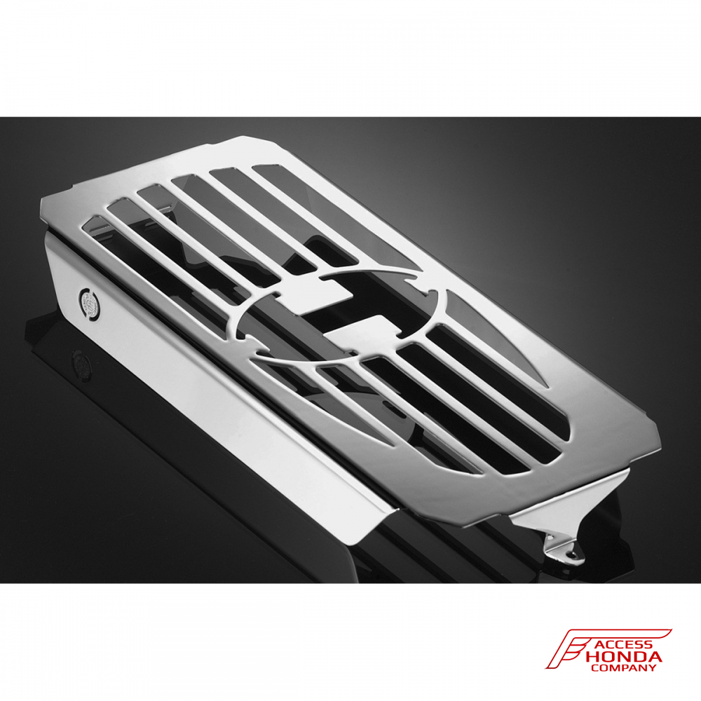 Защита радиатора DPM Race для Honda VT1100 C3 / VT1100 ACE 94 > / VT1100 SHADOW 88-93 Защита радиатора DPM Race для Honda VT1100 C3 / VT1100 ACE 94 > / VT1100 SHADOW 88-93