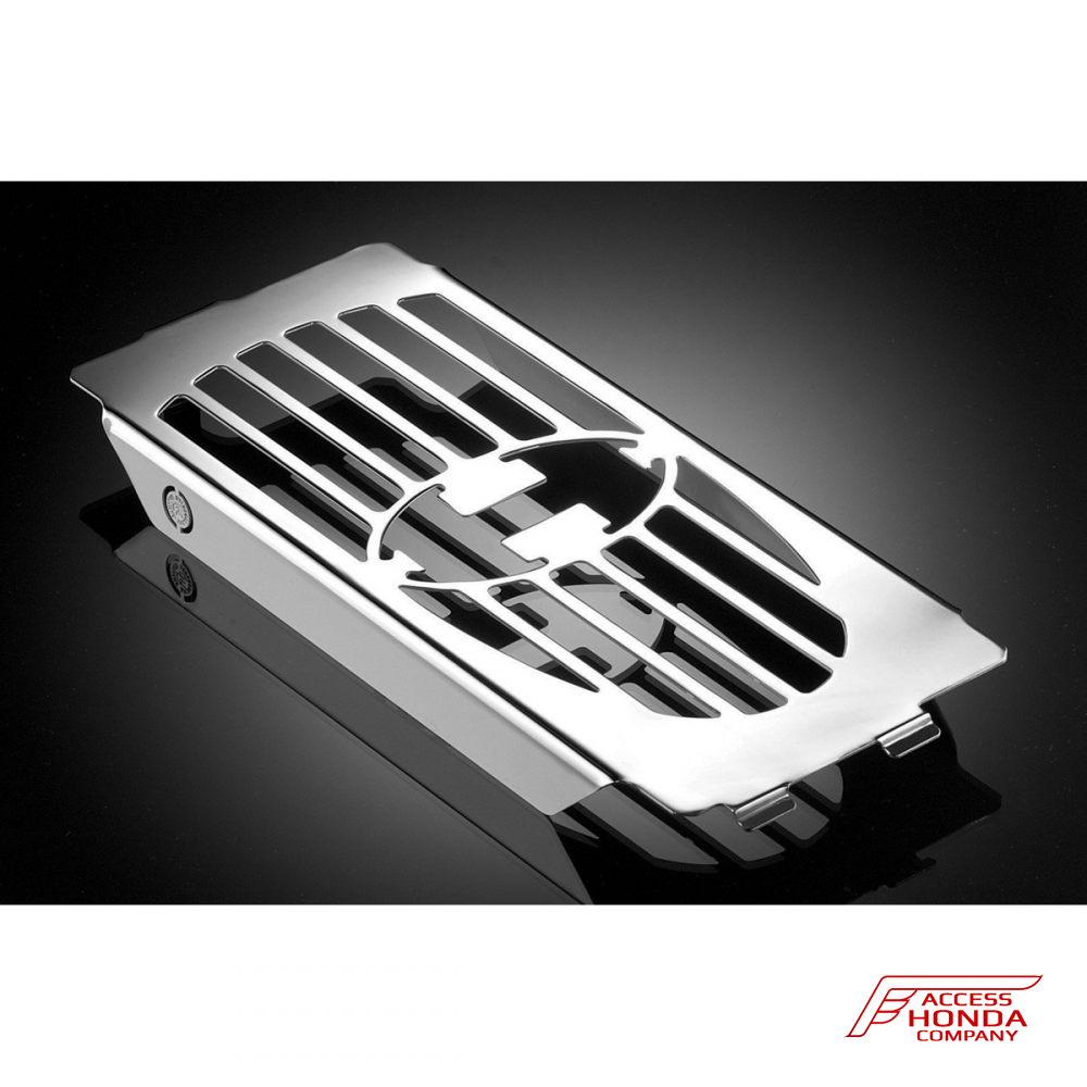 Защита радиатора DPM Race для Honda VT750 Защита радиатора DPM Race для Honda VT750