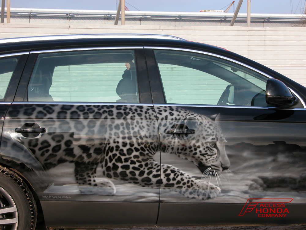 Аэрография Audi Q7 Аэрография Audi Q7