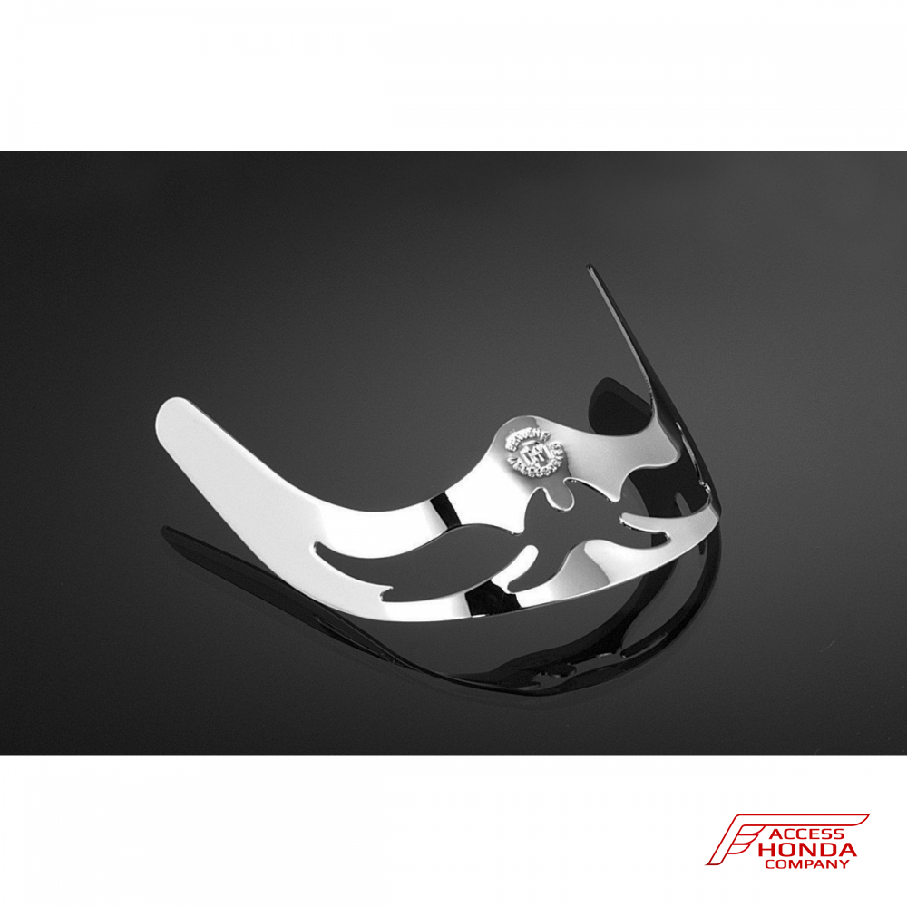 Накладка на переднее крыло DPM Race для Honda VT600 SHADOW Накладка на переднее крыло DPM Race для Honda VT600 SHADOW