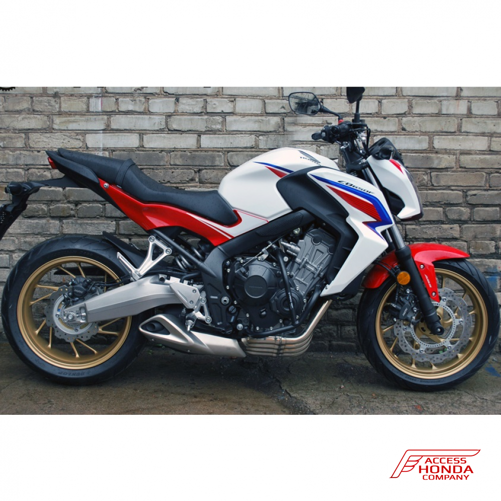 Защитные дуги Crazy Iron для мотоцикла Honda CB650F Защитные дуги Crazy Iron для мотоцикла Honda CB650F